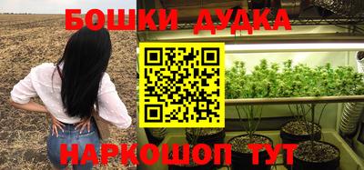 гашик Пушкино