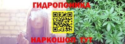 гашик Пушкино
