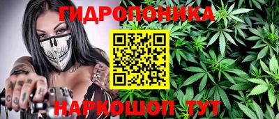 ешки Рязань