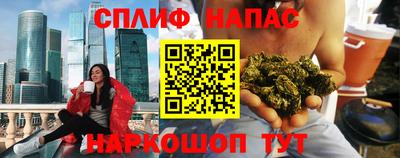 индика Пугачёв