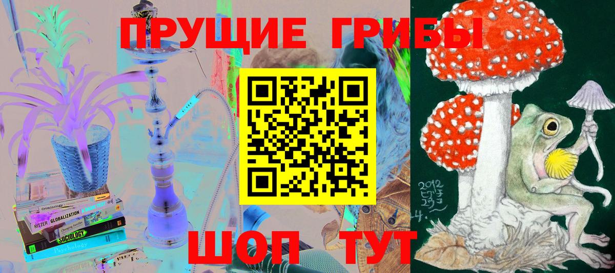 закладки  Галлюциногенные грибы мицелий  Вход с VPN  Псилоцибиновые грибы Magic Shrooms  Прохладный 
